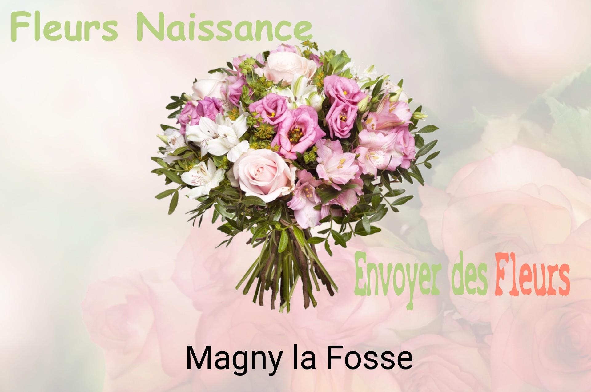 Bouquet de fleurs de naissance livré à Magny-la-Fosse